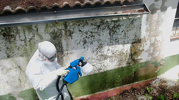 Trusted Commercial Mold Remediation service in Chester, IL - Cheap Mold Removal